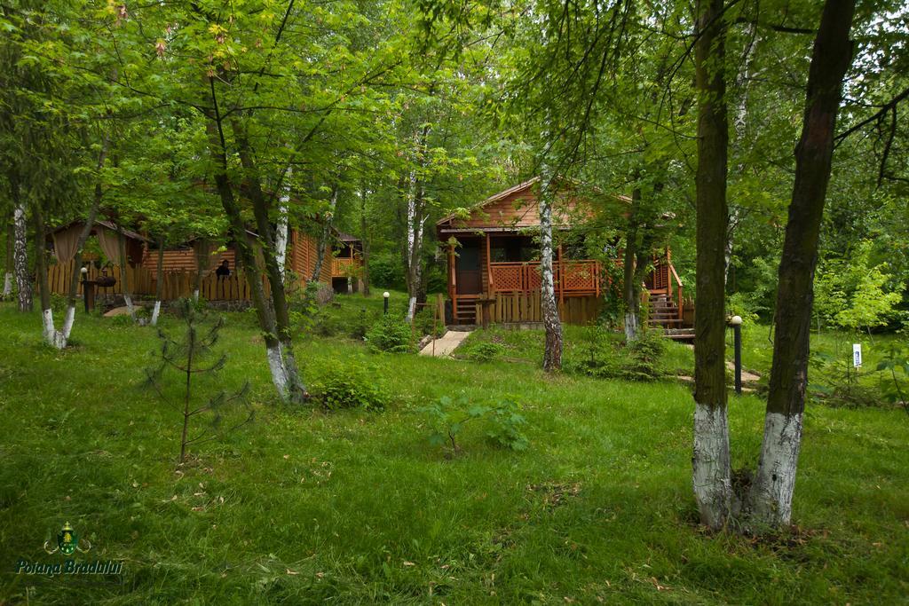 Poiana Bradului Villa Tohatin Exterior photo